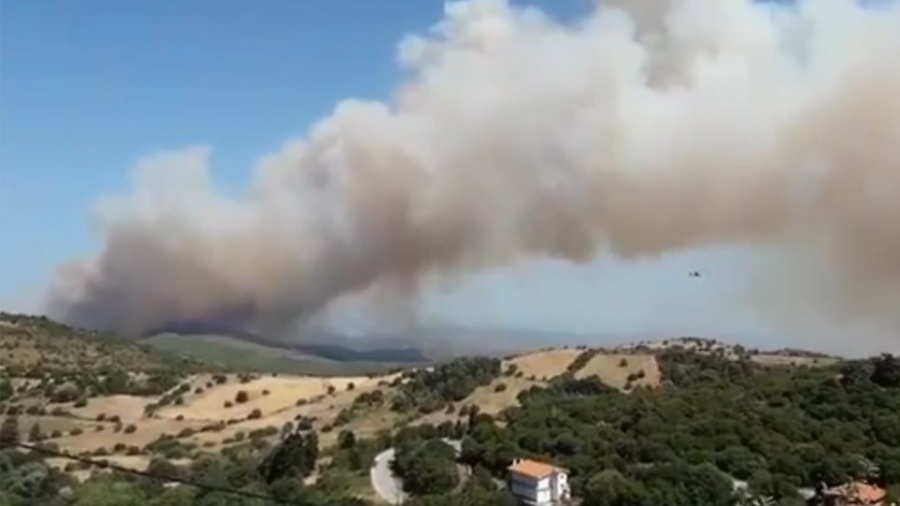 Σε ύφεση η πυρκαγιά στην Εύβοια - Παραμένουν οι ισχυρές πυροσβεστικές δυνάμεις
