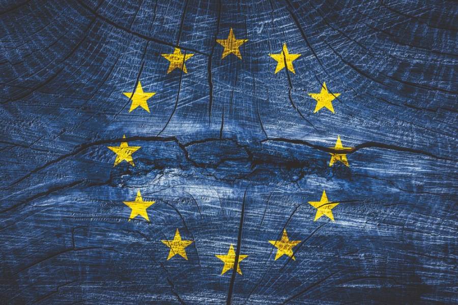 SF Team: Η ΕΕ σε κρίσιμο σταυροδρόμι ή θα ενοποιηθεί ή σταδιακά θα διαλυθεί