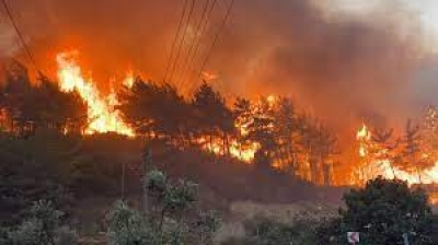 Πυροσβεστική: 35 δασικές πυρκαγιές το τελευταίο 24ωρο