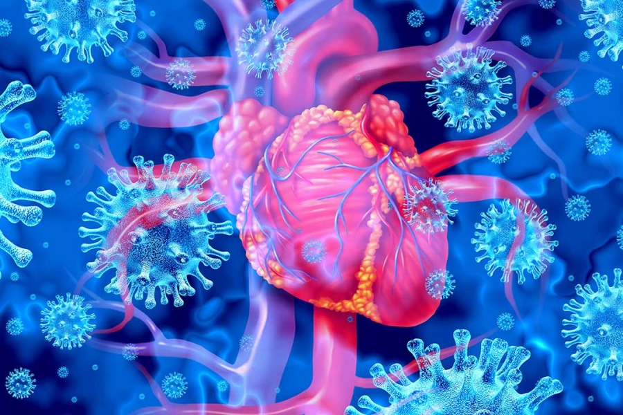 Μελέτη - κόλαφος (FDA) επιβεβαιώνει: Kαταστροφικό για τις εφηβικές καρδιές το εμβόλιο COVID της Pfizer, αυξάνει τον κίνδυνο μυοκαρδίτιδας