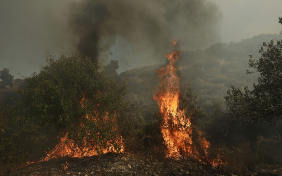 Πολύ υψηλός ο κίνδυνος πυρκαγιάς στην Κρήτη τη Δευτέρα (24/7)