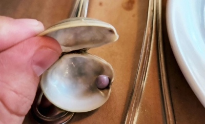 Άνδρας ανακαλύπτει σπάνιο μωβ μαργαριτάρι σε ορεκτικό πιάτο μυδιών σε εστιατόριο
