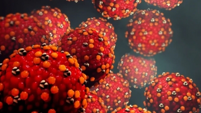 SOS από τους ειδικούς: Η ιλαρά αναζωπυρώνεται λόγω των lockdowns - Η νέα επιδημία του 2023 - Τρομακτικές νευρολογικές βλάβες