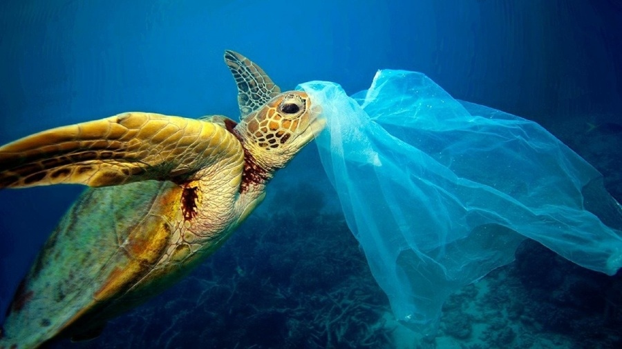 «Χωματερή» οι βυθοί των ωκεανών – Από πλαστικά μέχρι πυρηνικά απόβλητα