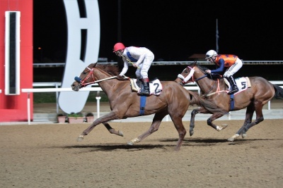 Θέατρο παραλόγου από την ΦΕΕ: Αφού τορπίλισε τις ιπποδρομίες διοργανώνει συζήτηση για το μέλλον του ιππόδρομου