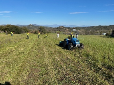 Μεταλλεία Θράκης: Δημιουργία φυτωρίου στο Πέραμα Έβρου με επίκεντρο το περιβάλλον και την τοπική ανάπτυξη
