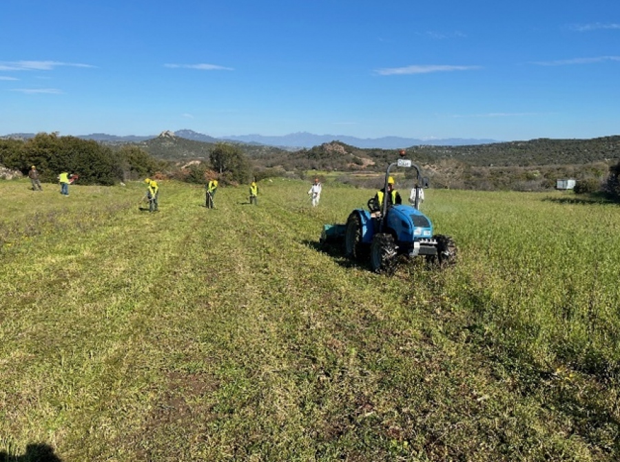 Μεταλλεία Θράκης: Δημιουργία φυτωρίου στο Πέραμα Έβρου με επίκεντρο το περιβάλλον και την τοπική ανάπτυξη