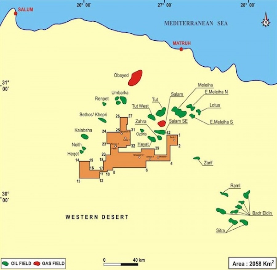 Συνεργασία Lukoil με την Eni στην εκμετάλλευση του κοιτάσματος Meleiha στην Αίγυπτο