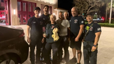 Τρομακτικό - Πύθωνας κρύφτηκε σε ταμπλό αυτοκινήτου - Τον απεγκλώβισαν οι πυροσβέστες (vid)