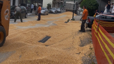 Γέμισε... με καλαμπόκι ο δρόμος στην Αμφιλοχία