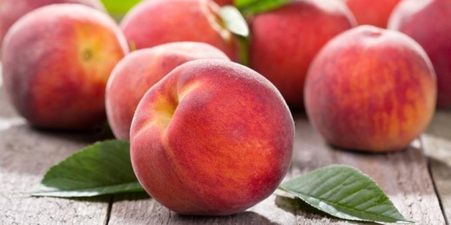 «Βάφτιζαν» σέρβικα τα ελληνικά ροδάκινα και τα πωλούσαν στη Ρωσία