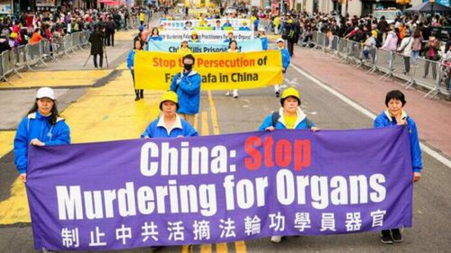 «Εγκληματικό, απάνθρωπο και ανήθικο»:  Η ΕΕ καταδικάζει την αναγκαστική αφαίρεση ανθρώπινων οργάνων από την Κίνα