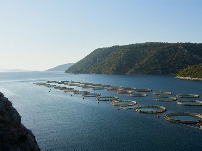 Και εγένετο AVRAMAR με τζίρο 400 εκατ. ευρώ