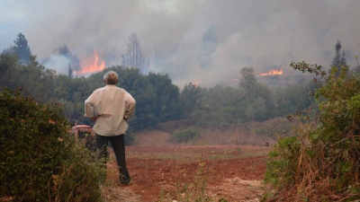 Πυροσβεστική: 41 δασικές πυρκαγιές εκδηλώθηκαν το τελευταίο 24ωρο (3/8)