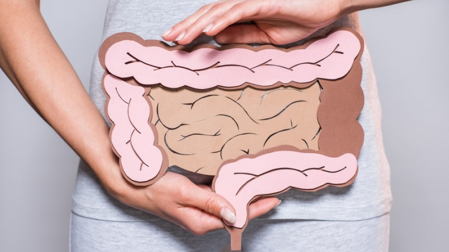 Καρκίνος Παχέος εντέρου: Γιατί είναι απαραίτητη η κολονοσκόπηση