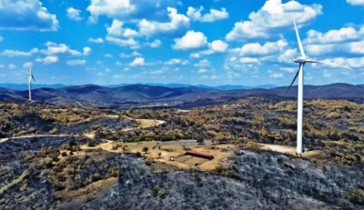 Φρένο στα αιολικά εντός καμένης γης στον Έβρο - Απορρίφθηκαν 11 αιτήσεις περιβαλλοντικής αδειοδότησης