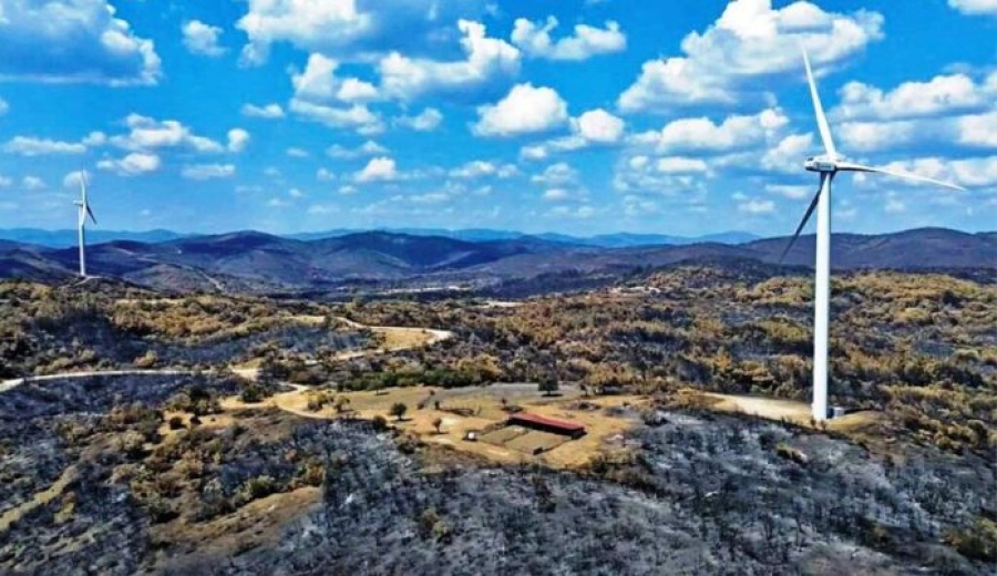 Φρένο στα αιολικά εντός καμένης γης στον Έβρο - Απορρίφθηκαν 11 αιτήσεις περιβαλλοντικής αδειοδότησης