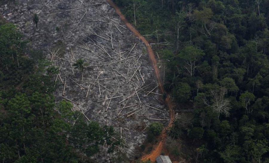 Η Γερμανία αναστέλλει τη χρηματοδότηση ύψους 35 εκατ. ευρώ στη Βραζιλία ως διαμαρτυρία για την αποψίλωση του Αμαζονίου