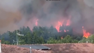 Φωτιά στη Χαλκιδική: Μάχη  με διάσπαρτες εστίες - 500 πυρκαγιές σε 14 ημέρες, 2.700 σε 3 μήνες