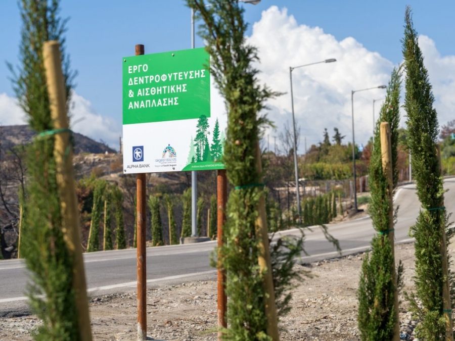 Δενδροφύτευση οδικού δικτύου στην πυρόπληκτη Ρόδο από την Alpha Bank