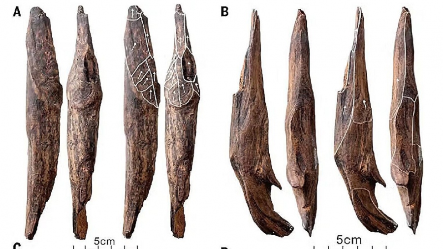 Μυστηριώδη ξύλινα εργαλεία 300.000 ετών ανακαλύφθηκαν στην Κίνα