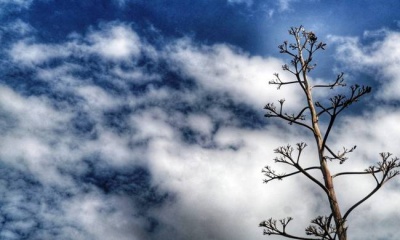 Νέα πτώση της θερμοκρασίας προβλέπει για αύριο (26/12) η Εθνική Μετεωρολογική Υπηρεσία