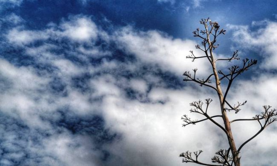 Νέα πτώση της θερμοκρασίας προβλέπει για αύριο (26/12) η Εθνική Μετεωρολογική Υπηρεσία