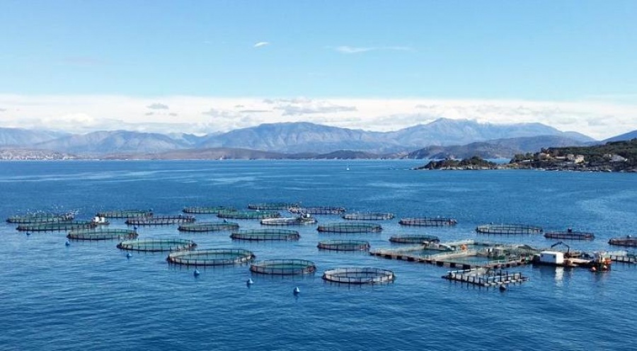 Αιχμάλωτες της τουρκικής λίρας οι ελληνικές ιχθυοκαλλιέργειες