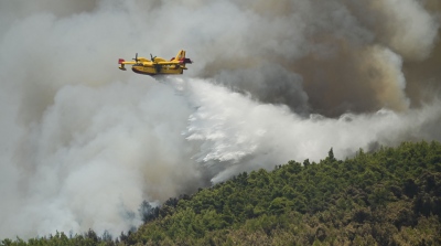 Στις φλόγες δασική έκταση στο Νεοχώρι Πηλίου - Επιχειρούν εναέρια μέσα