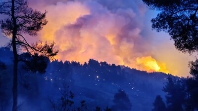 Φωτιά στην Εύβοια: Η απόλυτη καταστροφή μέσα από εικόνες που συγκλονίζουν το πανελλήνιο