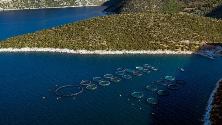 Eurostat: Οι υδατοκαλλιέργειες στην Ισπανία, τη Γαλλία, την Ιταλία και την Ελλάδα είναι τα δύο τρίτα στην ΕΕ