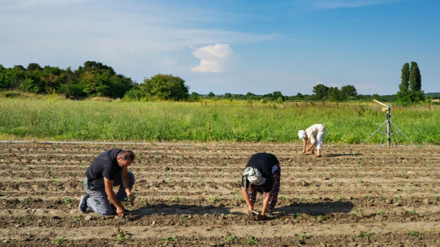Έρχεται τρίμηνη παράταση για τους εργάτες γης