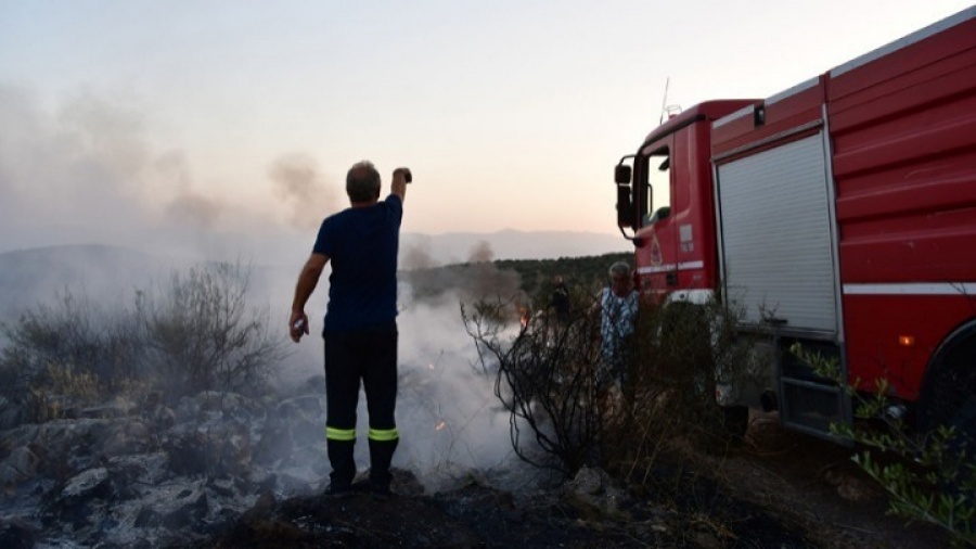 Κεφαλονιά: Πυρκαγιά σε αγροτοδασική έκταση στα Προκοπάτα