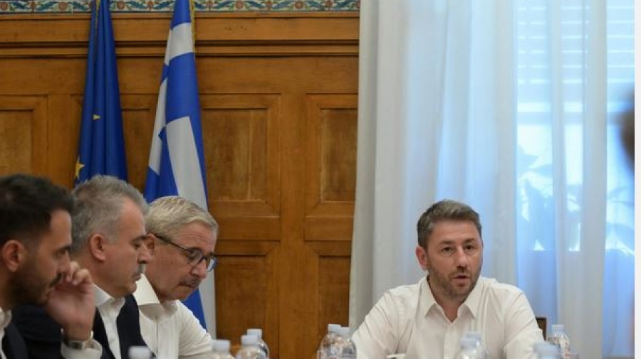 Ανδρουλάκης για πυρκαγιές: Χρειάζεται εθνικό σχέδιο, όχι ευχολόγια – Η κυβέρνηση απέτυχε παταγωδώς να προστατέψει το δάσος της Δαδιάς