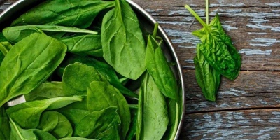 Σοκ με τοξικό σπανάκι που προκαλεί παραισθήσεις! Δεκάδες άνθρωποι με συμπτώματα