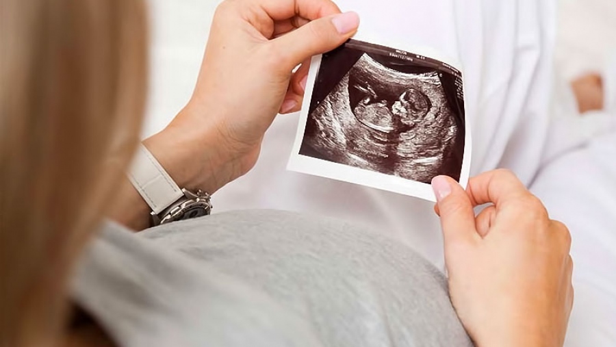 Το εμβρυολογικό εργαστήριο από το παρόν στο μέλλον