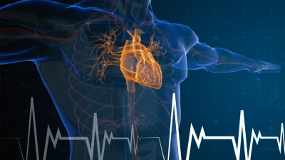 Ο ρόλος της Πυρηνικής Ιατρικής στη διάγνωση καρδιαγγειακών παθήσεων