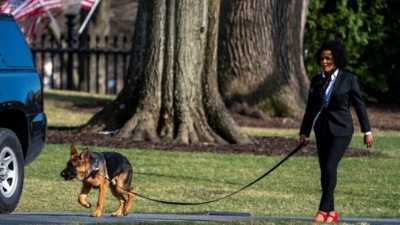 ΗΠΑ: Ο σκύλος της οικογένειας Biden δάγκωσε ακόμη έναν μυστικό πράκτορα - 11 επιθέσεις