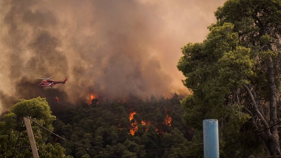 Βελτιωμένη η κατάσταση με την πυρκαγιά στην Χαλκιδική – Προσπάθειες έως το μεσημέρι να τεθεί υπό έλεγχο