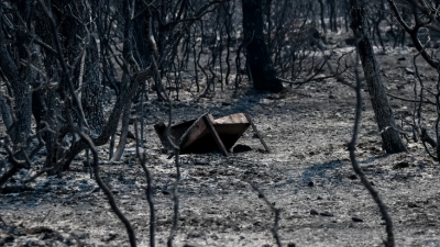 Φωτιά σε Κερατέα και Βίλια: Περίπου 50.000 στρέμματα οι καμένες εκτάσεις