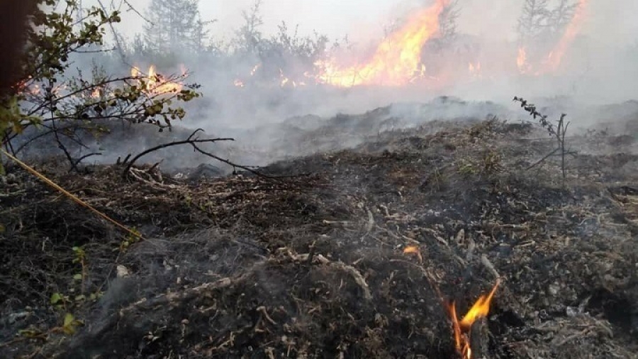 Σε ύφεση η φωτιά σε Βίλια και Κάρυστο - Εκκενώσεις οικισμών, κάηκαν σπίτια