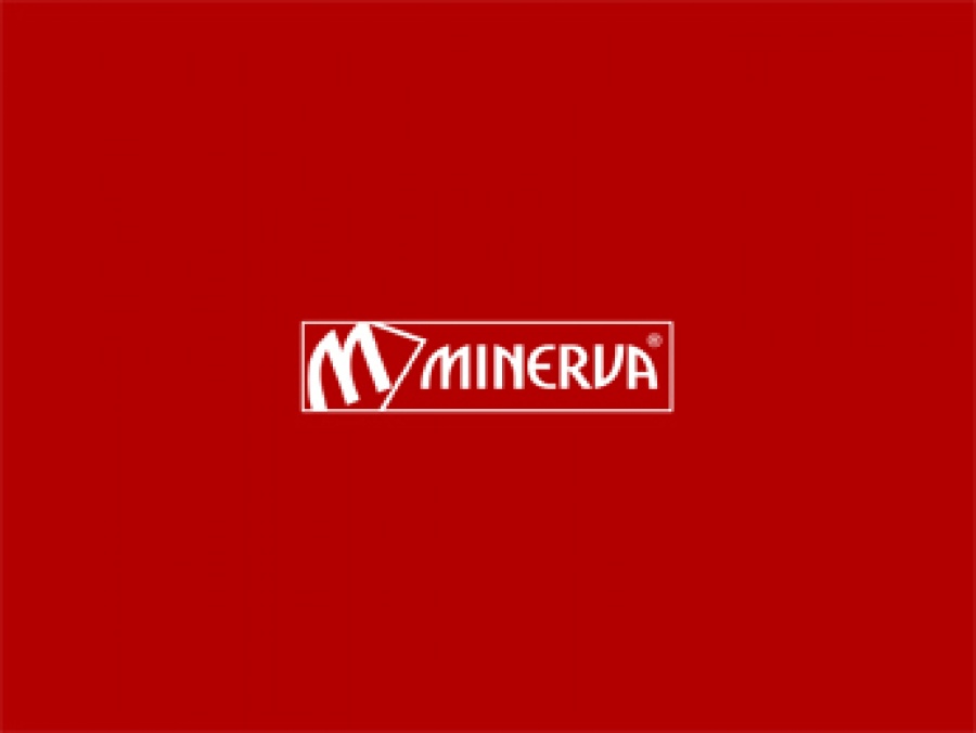 Στο +101% η Minerva από την αρχή του έτους – Μερικές επισημάνσεις με βάση τα θεμελιώδη