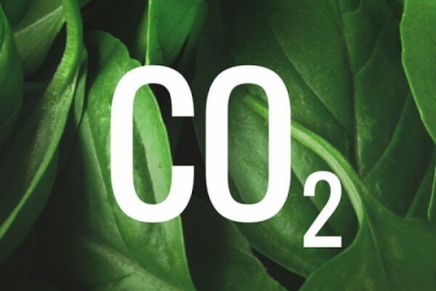 GreenTank: Στο 50% έφθασε η μείωση των εκπομπών CO2 της ΔΕΗ