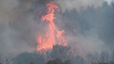 Φωτιά σε λόφο στην Αργολίδα - Στη μάχη ρίχτηκε ελικόπτερο