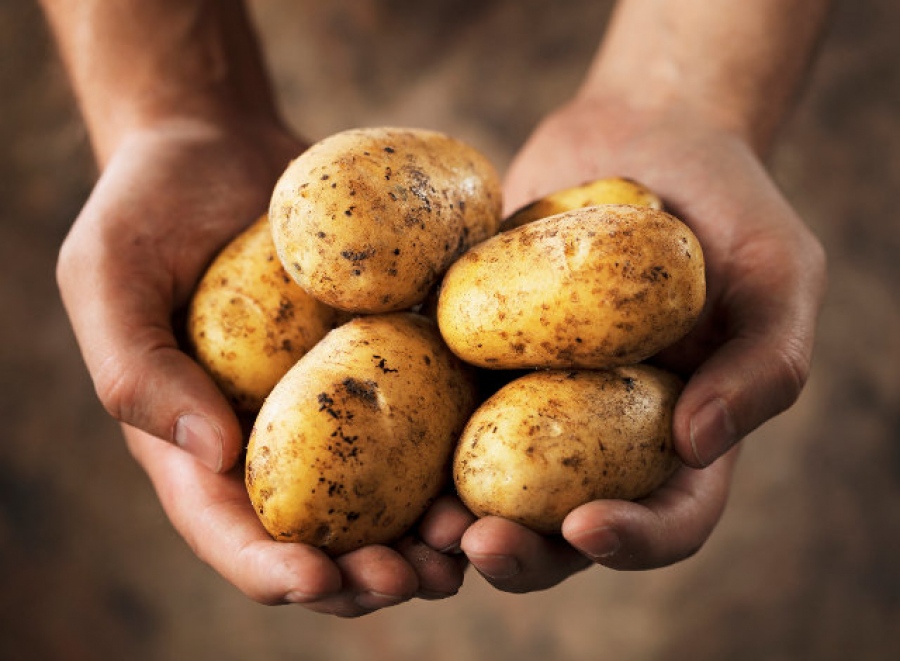 «Έκρηξη» στις τιμές της πατάτας πανευρωπαϊκά