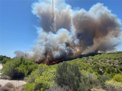 Δήμαρχος Λαυρεωτικής: Από βολές της Ελληνικής Βιομηχανίας Όπλων ξέσπασε η πυρκαγιά