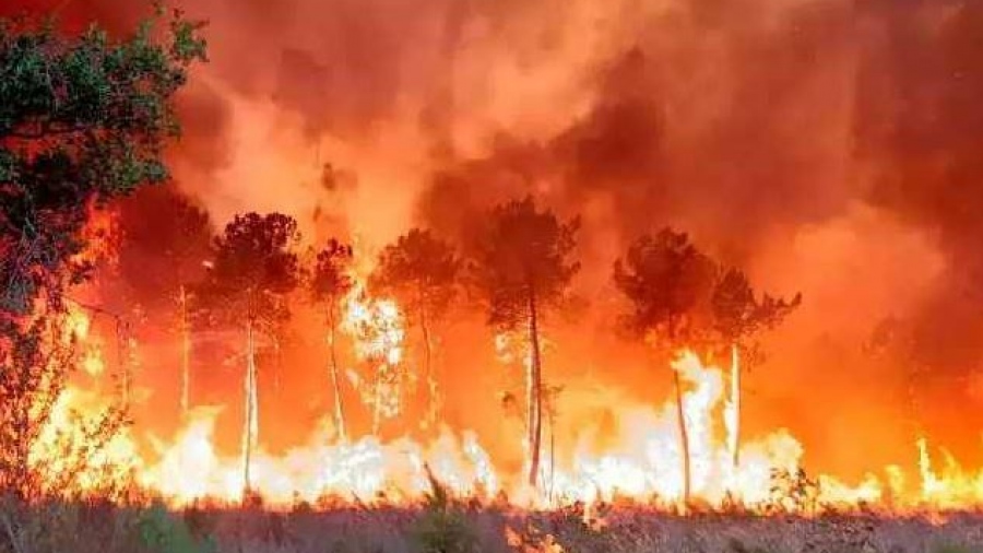 Καίγεται η νότια Γαλλία – Απομακρύνθηκαν 3.000 άτομα, τραυματίστηκαν ελαφρά 15 πυροσβέστες