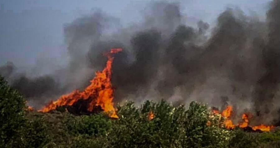 Πυροσβεστική: 58 δασικές πυρκαγιές το τελευταίο 24ωρο σε ολόκληρη την Ελλάδα