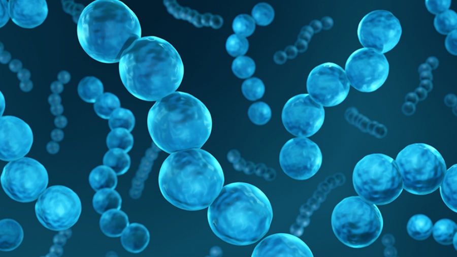 Τι προκαλεί στην υγεία μας ο Β-Αιμολυτικός στρεπτόκοκκος της ομάδας Α(GAS);