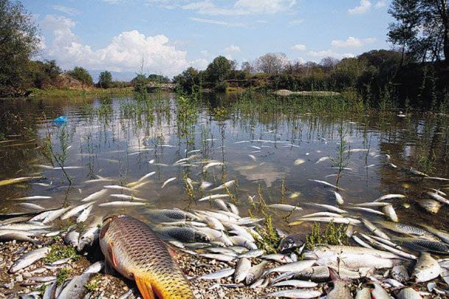 Βουλγαρία: Σήμα κινδύνου για την περιβαλλοντική ρύπανση των ποταμών